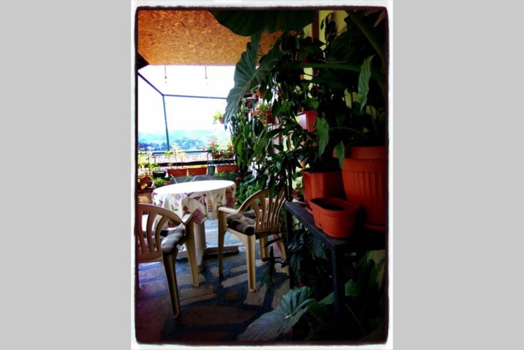 Authentic Guest Stay In The Heart Of Veliko Tarnovo Студио С Изглед Към Царевец Dış mekan fotoğraf