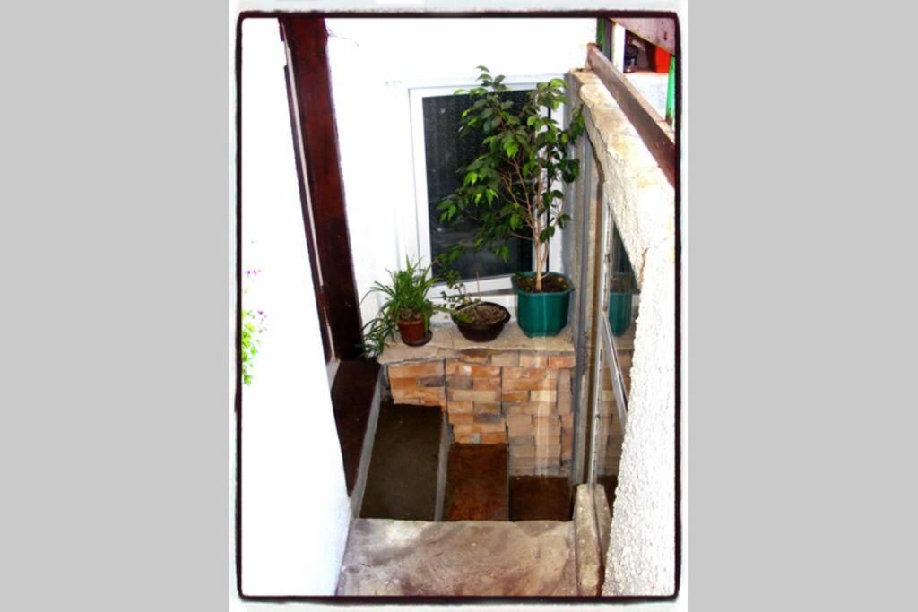 Authentic Guest Stay In The Heart Of Veliko Tarnovo Студио С Изглед Към Царевец Dış mekan fotoğraf